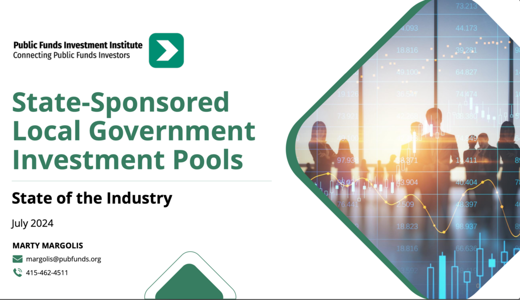 State-Sponsored LGIP Report